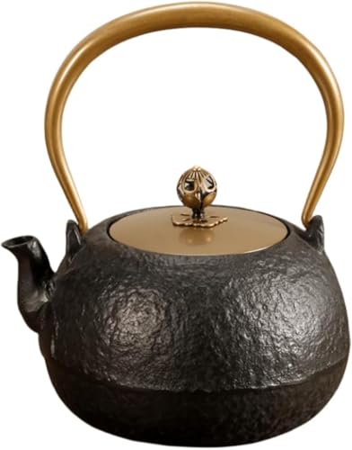 鉄器 急須 伝統工芸 手作り 鉄分補給 鉄瓶　SY-002 61iOveh21uL._UF894,1000_QL80_.jpg